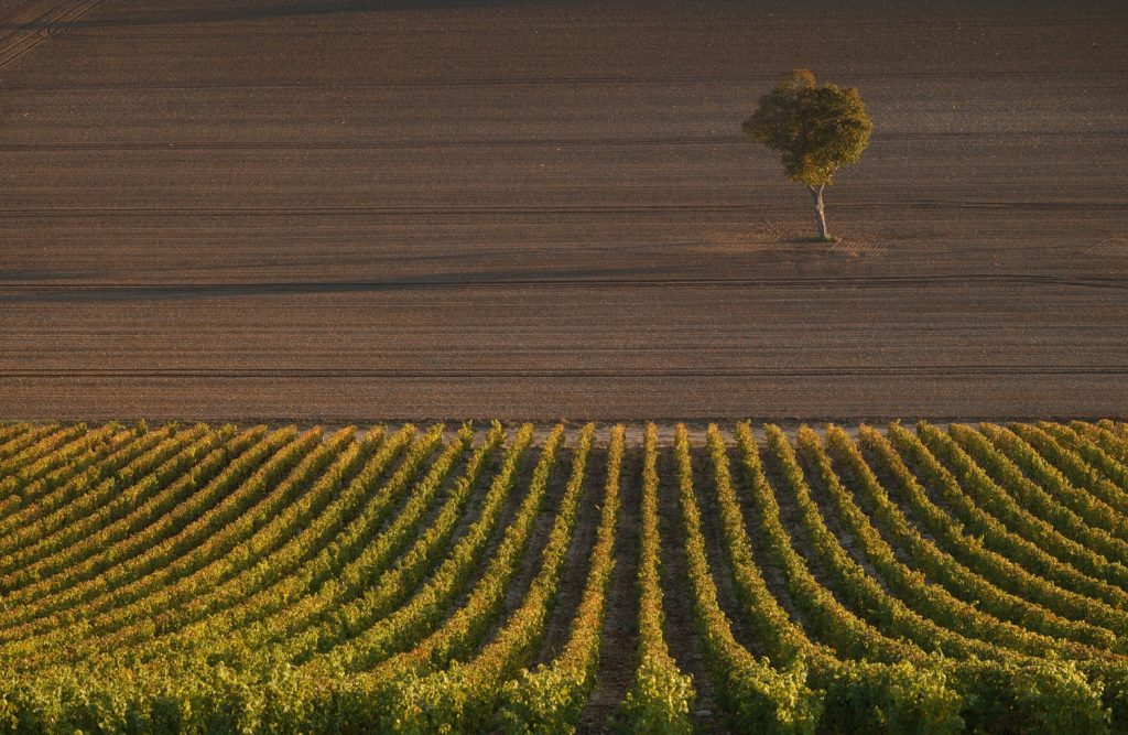 Domaine Pascal Jolivet_paysages sous quatre saisons Memag Online