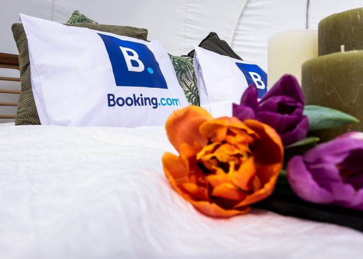 Booking.com ชวนคุณสัมผัสประสบการณ์พักค้างคืนท่ามกลางทุ่งดอกทิวลิปที่ดินแดนดัชต์