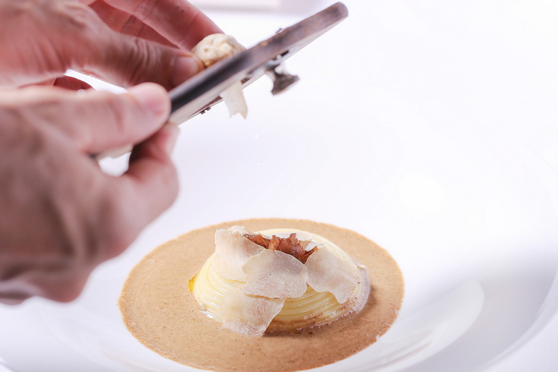 Timbale of Hokkaido Scallop, Spaghetti, Alba White Truffle Golden chanterelles, morel sauce_resize