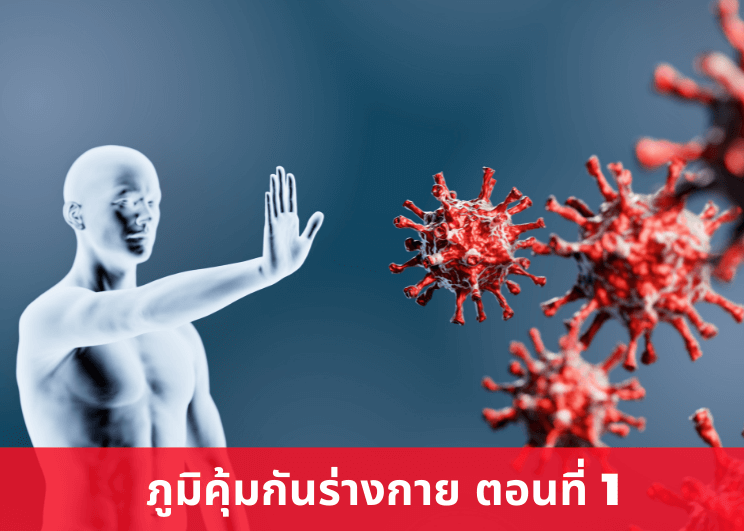 ภูมิคุ้มกันร่างกาย ตอนที่ 1