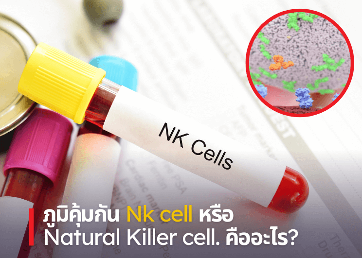 ภูมิคุ้มกัน Nk cell หรือ Natural Killer cell. คืออะไร?